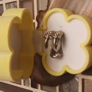 Vintage Claw Stainless steel ring-size 6.5